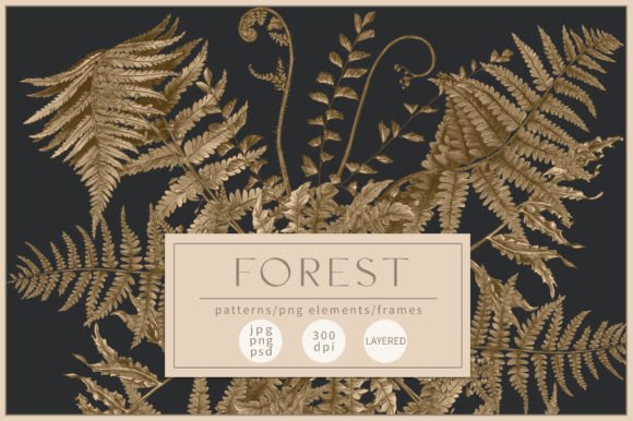 Download Forest Patterns - Forest patterns Collection